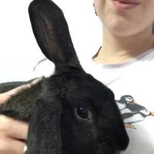 Meet your Posher, Lindsey